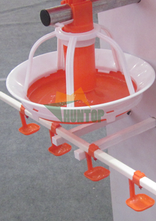 male breeder pand feeder and drinker